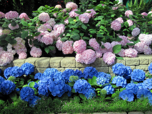 1042384 (a): :2560x1920